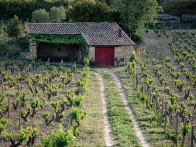 Viñedos Singulares in La Rioja