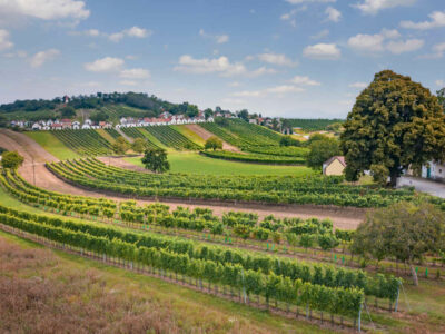 Weinviertel zoekt zijn Erste Lagen